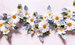 Daisy Collection