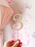 Number Cake Topper - Dusty Rose / Cake & Clip ©