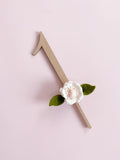 Number Cake Topper - Beige Beauty / Cake & Clip ©